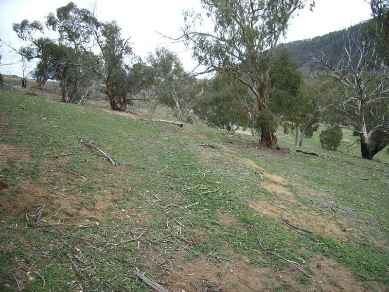 90 OLD OMEO HIGHWAY, Omeo VIC 3898