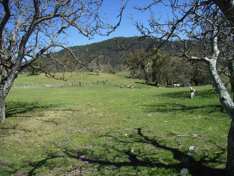 84 DAY AVENUE,, Omeo VIC 3898