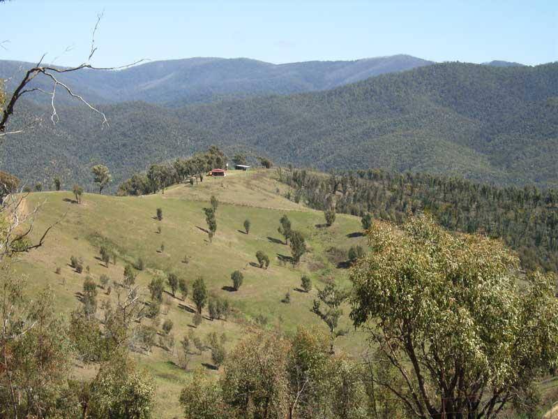 14 MURPHYS FOREST ROAD, Benambra VIC 3900