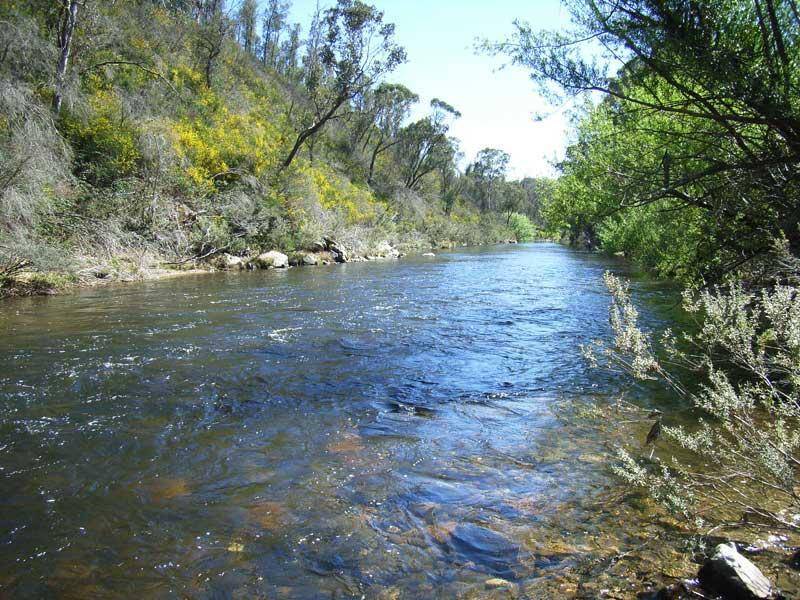 14 MURPHYS FOREST ROAD, Benambra VIC 3900