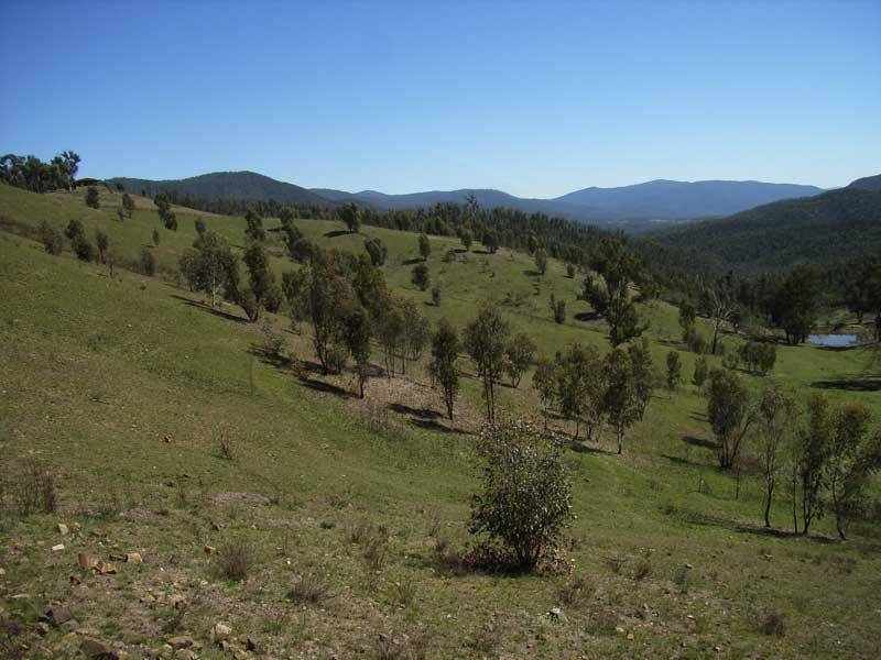 14 MURPHYS FOREST ROAD, Benambra VIC 3900