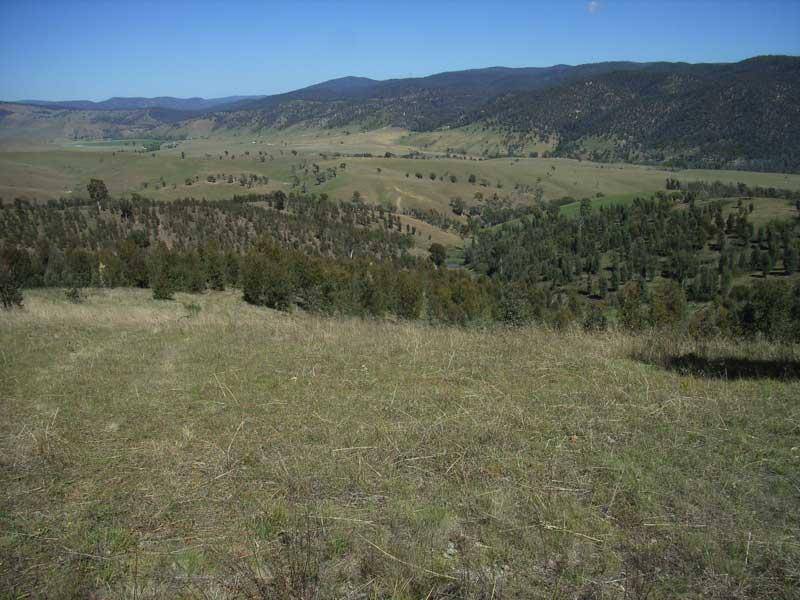 14 MURPHYS FOREST ROAD, Benambra VIC 3900