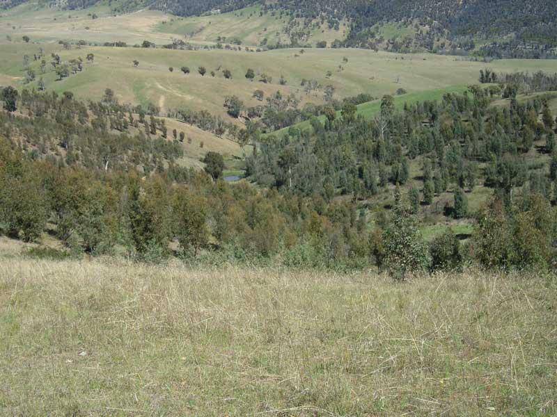 14 MURPHYS FOREST ROAD, Benambra VIC 3900