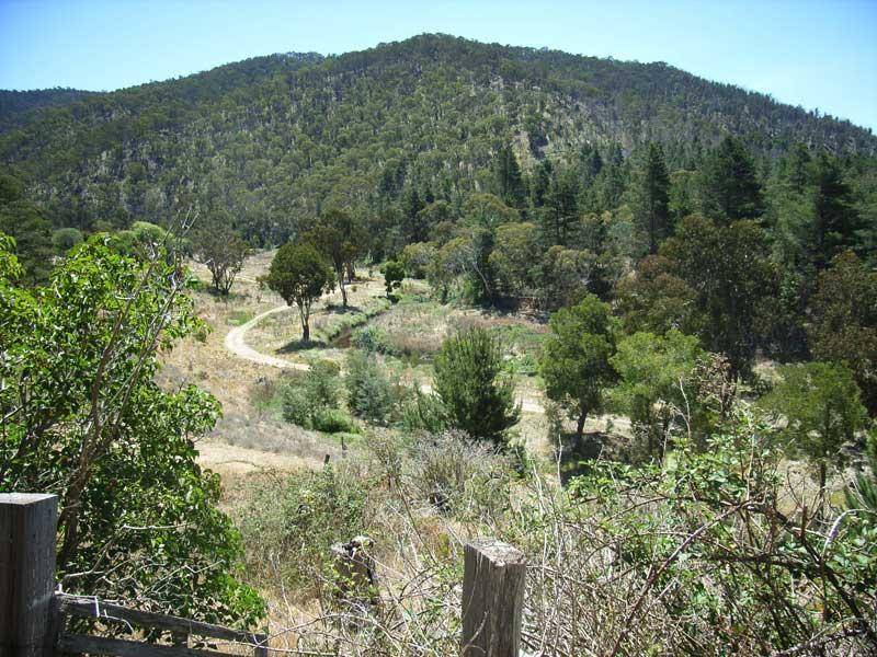 Omeo VIC 3898