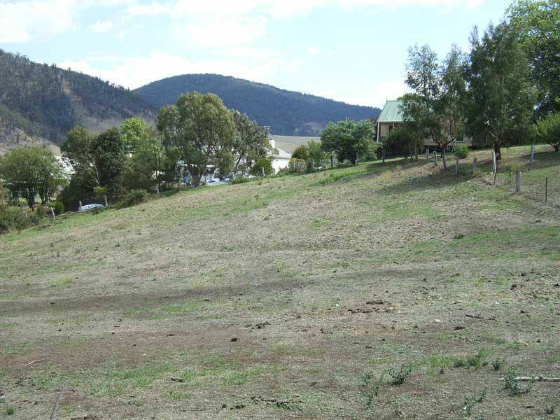 10 COOPER STREET, Omeo VIC 3898