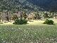 LOT 5 CASSILIS ROAD, CASSILIS, Omeo VIC 3898