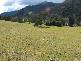 LOT 5 CASSILIS ROAD, CASSILIS, Omeo VIC 3898