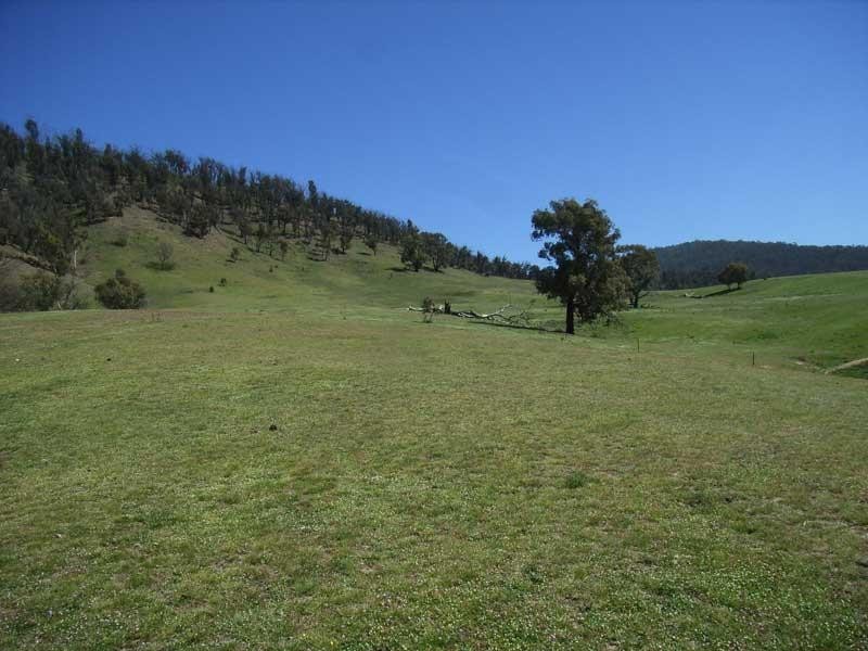 39 CONNLEY’S ROAD, Omeo VIC 3898