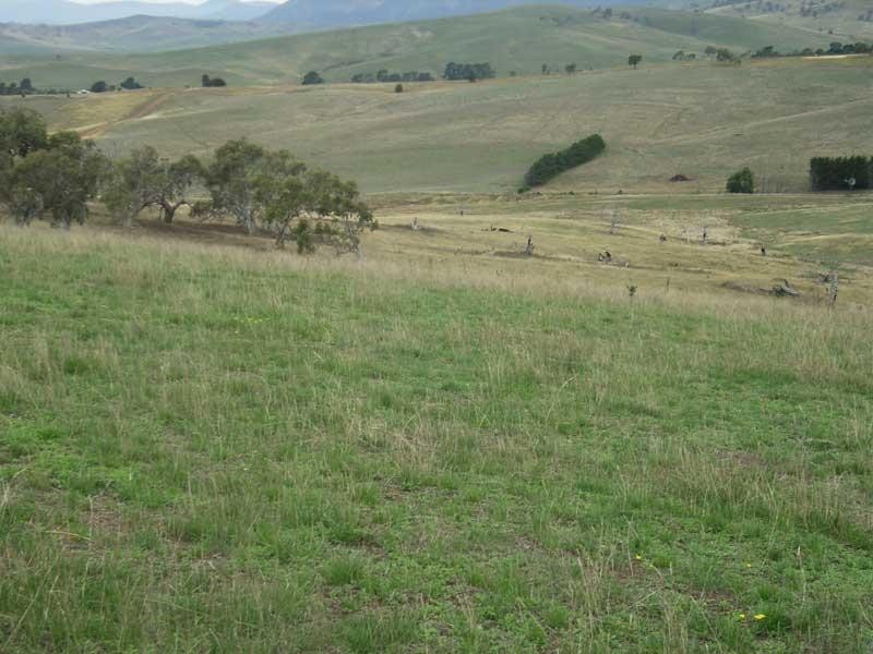 LOT 3/ HINNOMUNJIE VIA, Omeo VIC 3898