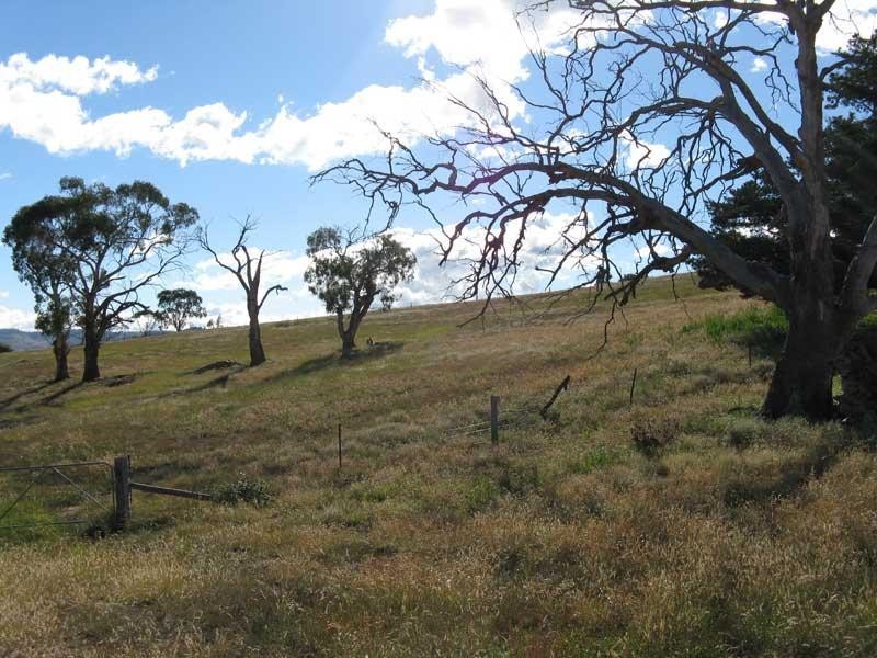 311 DAY AVENUE, Omeo VIC 3898