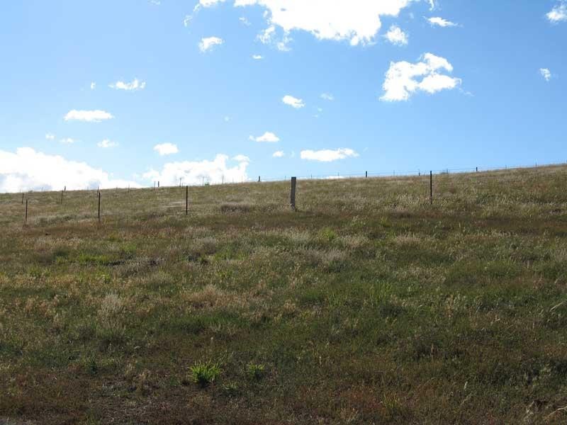 311 DAY AVENUE, Omeo VIC 3898