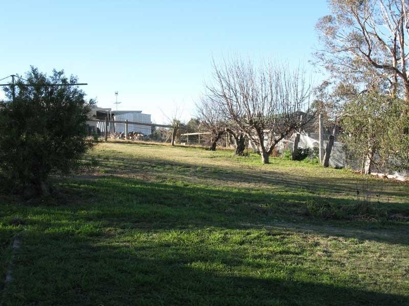 8 CRISP STREET, Omeo VIC 3898