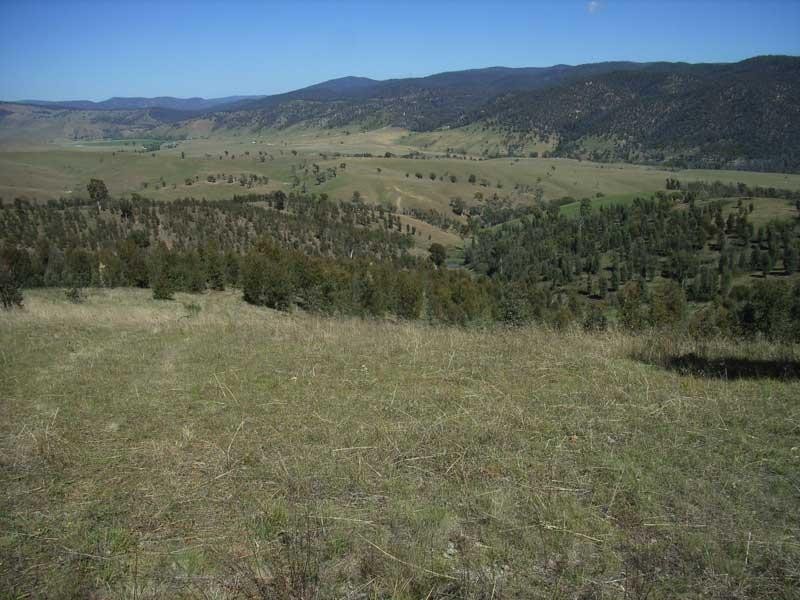 14 Murphys Forest Road, Benambra VIC 3900