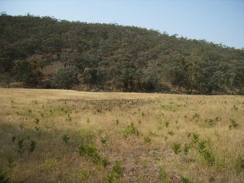 Lot 1/ Camp Tongio Road Bindi Via, Omeo VIC 3898