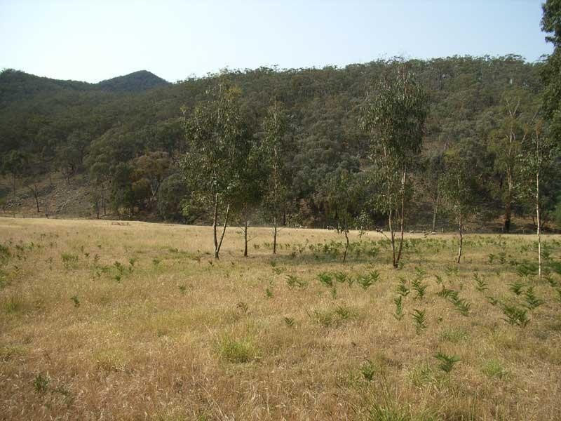 Lot 1/ Camp Tongio Road Bindi Via, Omeo VIC 3898