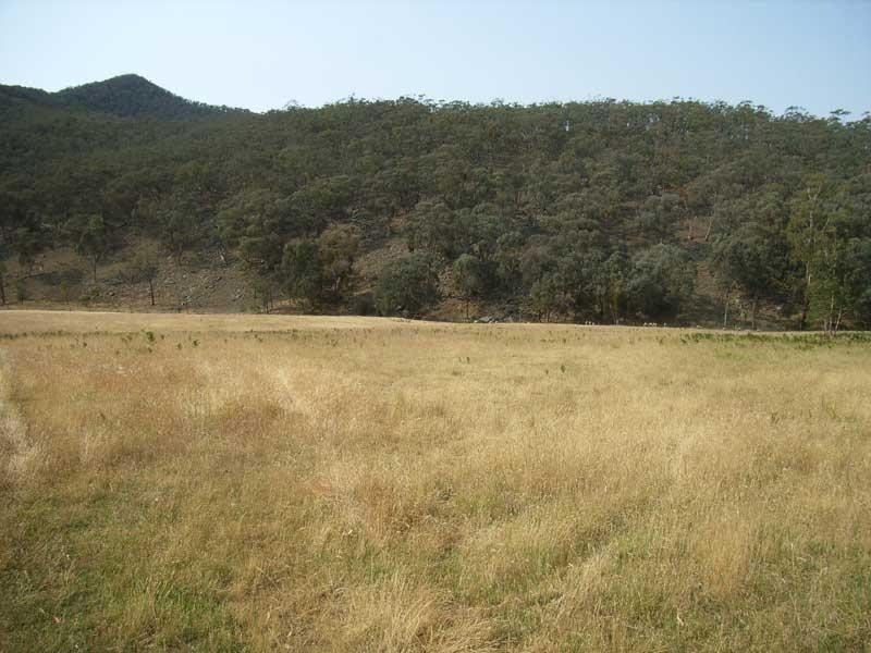 Lot 1/ Camp Tongio Road Bindi Via, Omeo VIC 3898