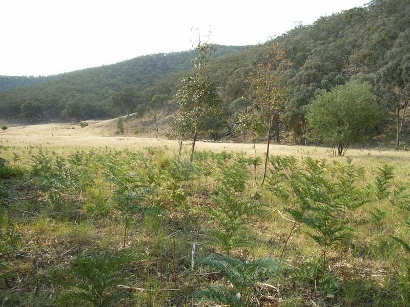 Lot 1/ Camp Tongio Road Bindi Via, Omeo VIC 3898