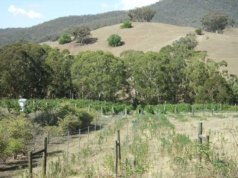 18,21, Cassilis Road, Cassilis Via, Omeo VIC 3898