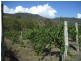 18,21, Cassilis Road, Cassilis Via, Omeo VIC 3898