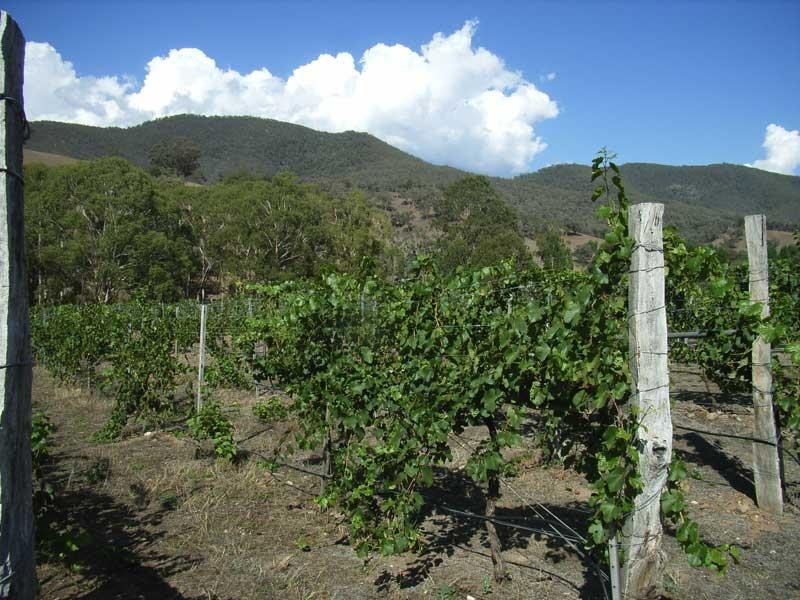 18,21, Cassilis Road, Cassilis Via, Omeo VIC 3898