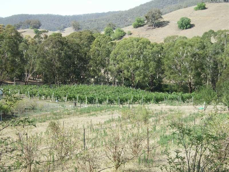18,21, Cassilis Road, Cassilis Via, Omeo VIC 3898