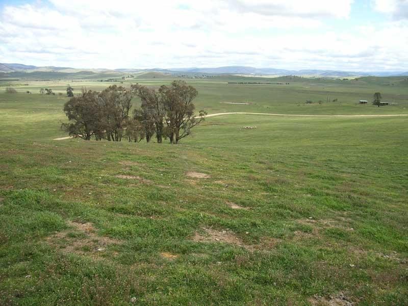 3 G Nicholas Road Benambra Via, Omeo VIC 3898