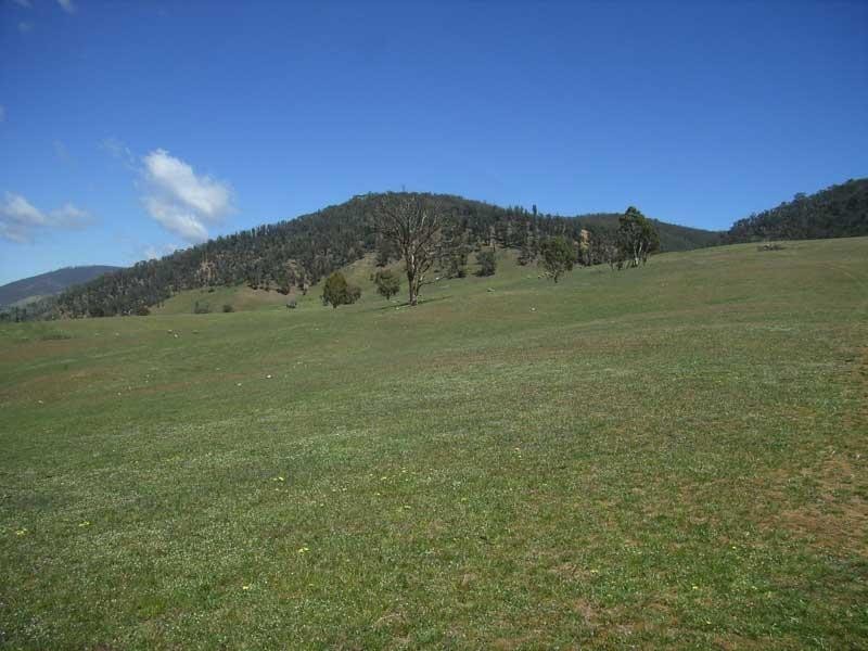 39 Connley’s Road, Omeo VIC 3898