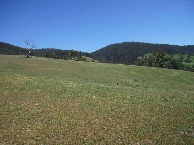 39 Connley’s Road, Omeo VIC 3898