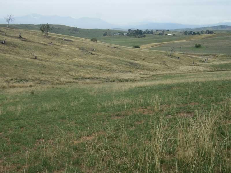 Lot 3/ Hinnomunjie Via, Omeo VIC 3898