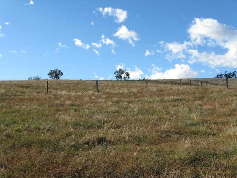 311 Day Avenue, Omeo VIC 3898