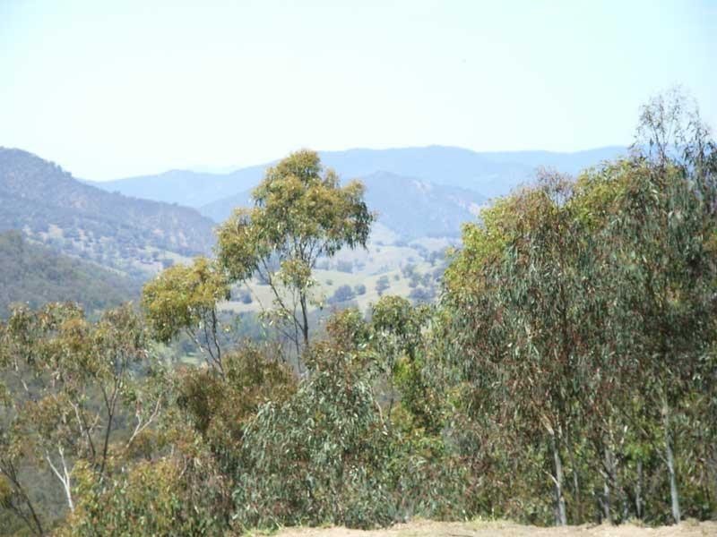 Omeo VIC 3898