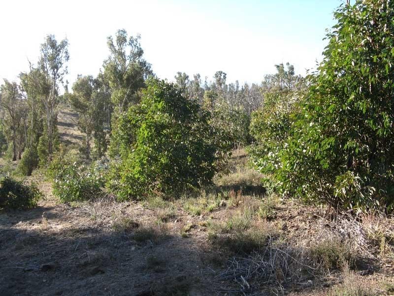 Lot 2/28 Victoria Court Cobungra Via, Dinner Plain VIC 3898