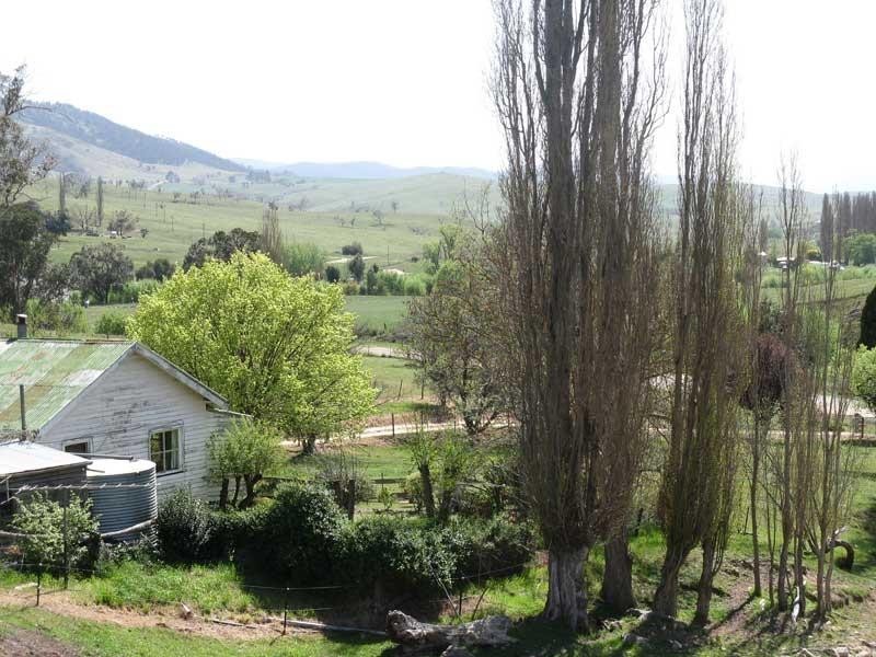Lot 1200 Omeo Highway, Omeo VIC 3898