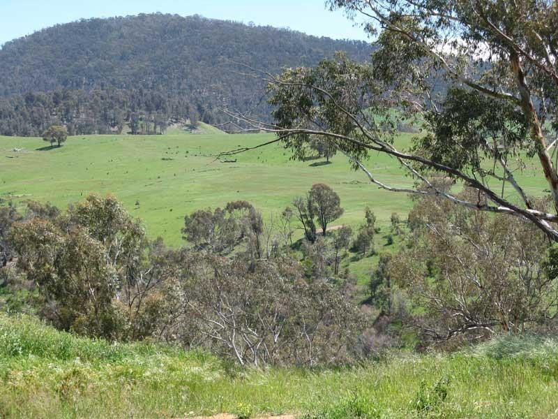 Lot 1/ Park Street, Omeo VIC 3898