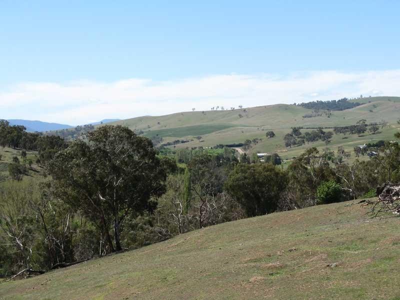 Lot 1/ Park Street, Omeo VIC 3898