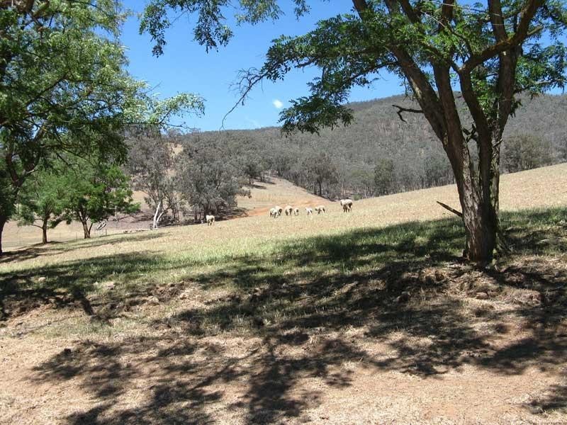 Lot 10 Cassilis Road, Cassilis VIC 3898