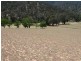 Lot 10 Cassilis Road, Cassilis VIC 3898