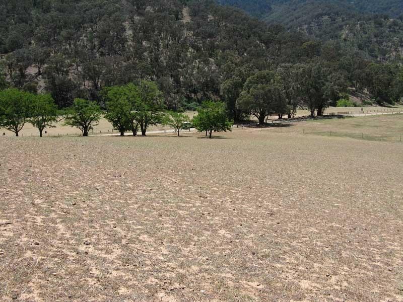 Lot 10 Cassilis Road, Cassilis VIC 3898