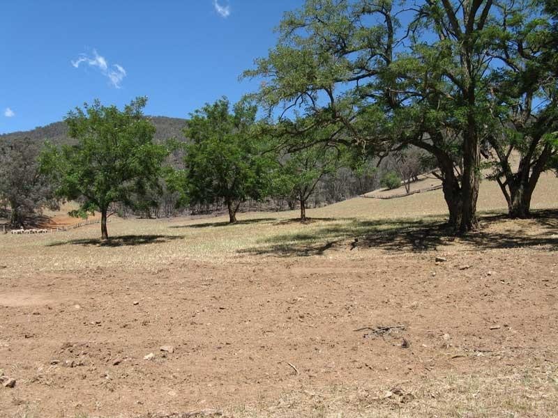Lot 10 Cassilis Road, Cassilis VIC 3898