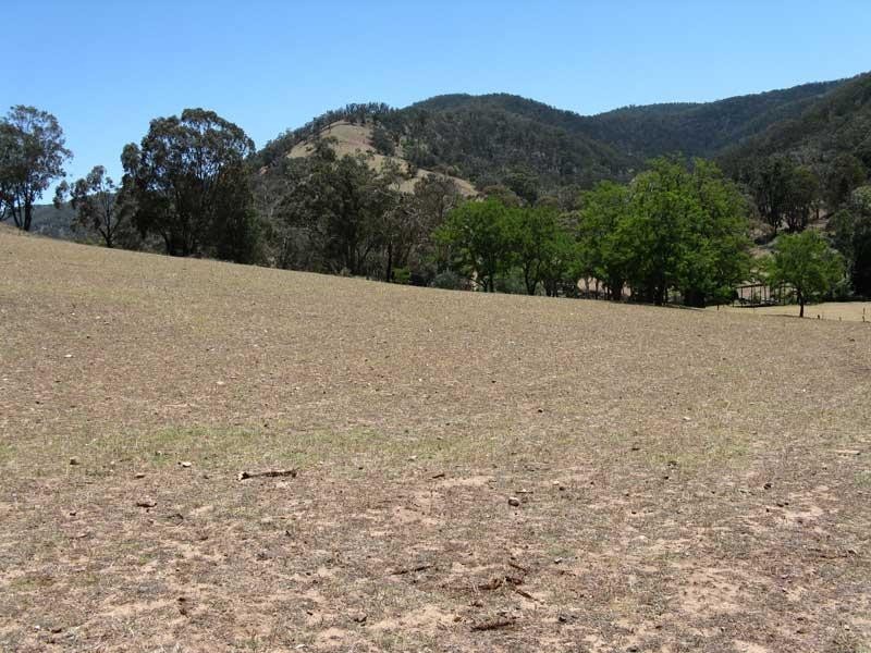 Lot 10 Cassilis Road, Cassilis VIC 3898