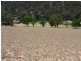 Lot 10 Cassilis Road, Cassilis VIC 3898