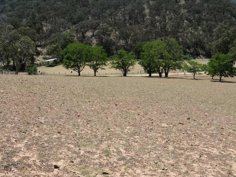 Lot 10 Cassilis Road, Cassilis VIC 3898