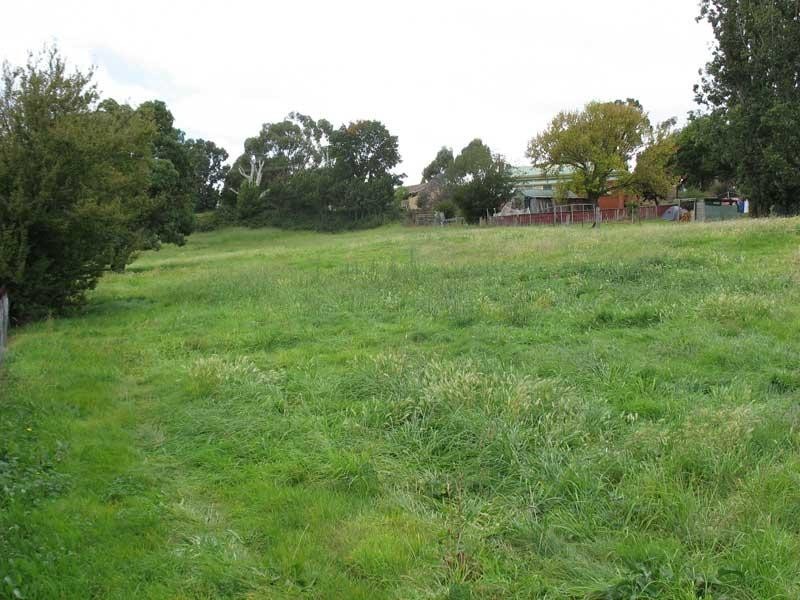 137 Day Avenue, Omeo VIC 3898