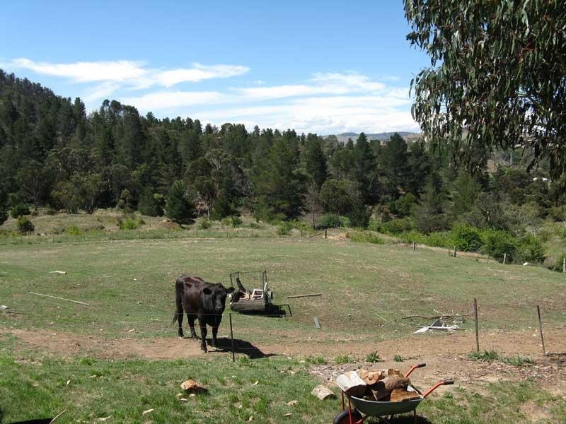 244 Day  Avenue, Omeo VIC 3898