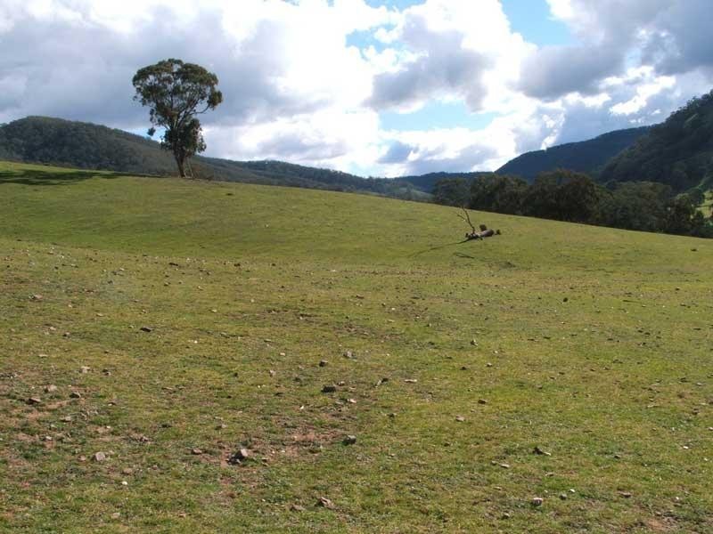 Lot 5/ Cassilis Road, Cassilis VIC 3898