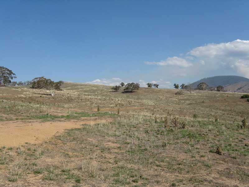 209 Day Avenue, Omeo VIC 3898