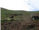 179 Faithfulls Access Road Omeo Valley Via, Omeo VIC 3898