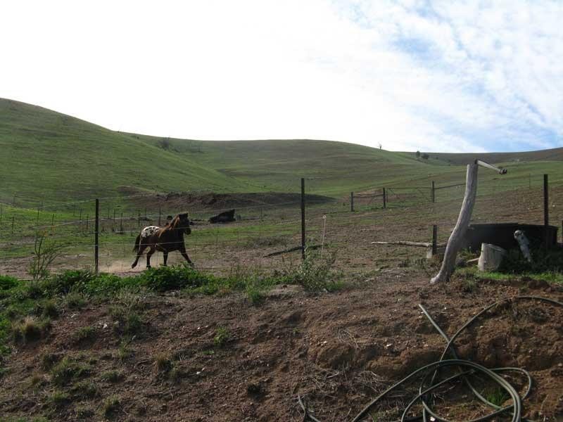 179 Faithfulls Access Road Omeo Valley Via, Omeo VIC 3898