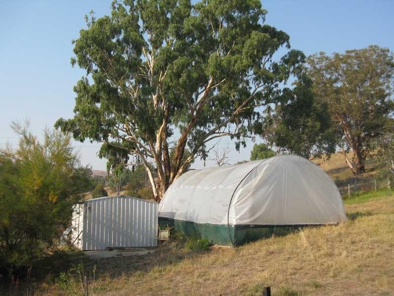 5155 Great Alpine Road, Ensay VIC 3895