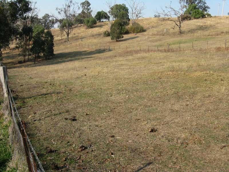 5155 Great Alpine Road, Ensay VIC 3895